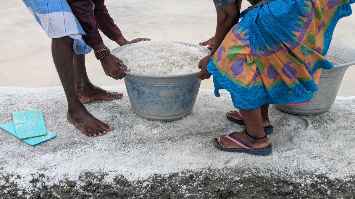 Living by the sun, losing to the rain: life in Marakkanam’s salt pans in T.N.