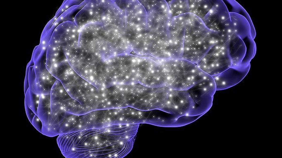  Seizures could be early indicator of brain tumour, caution doctors