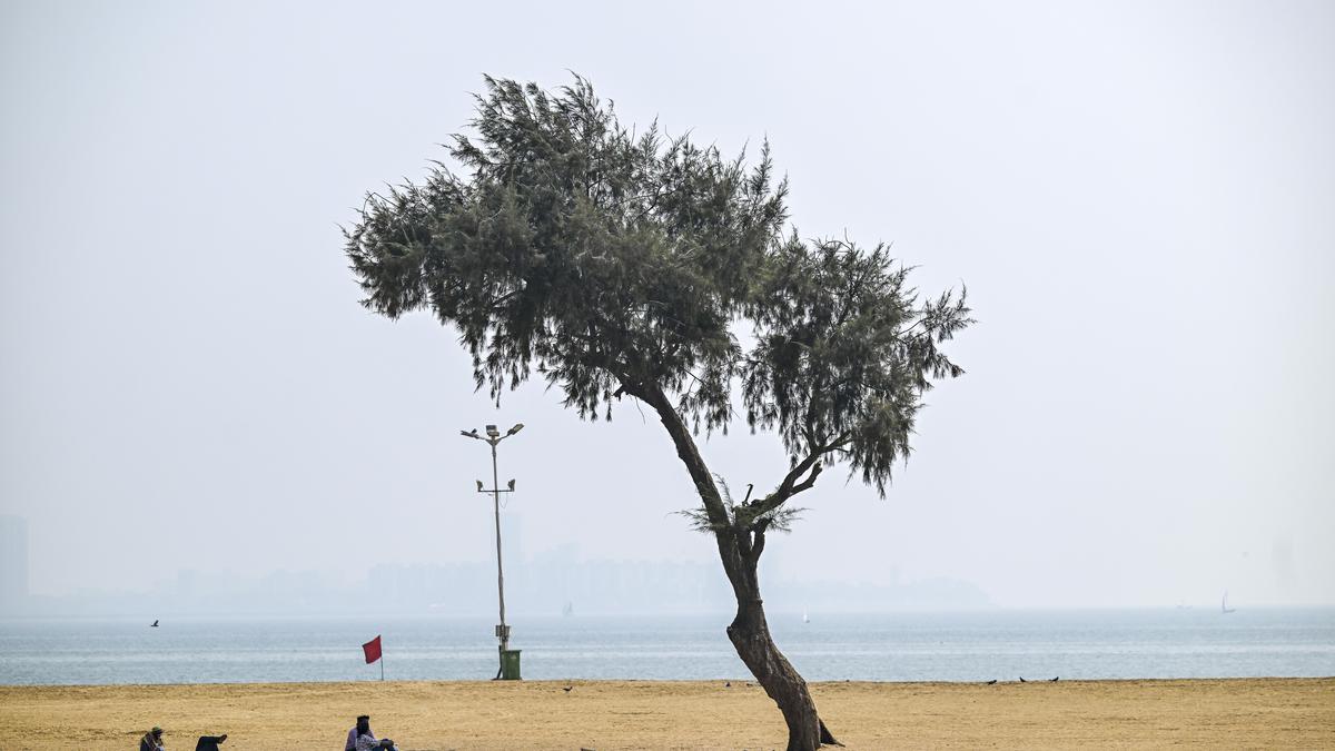 Heatwave alert in Maharashtra till April 20; Akola hottest at 44.2°C