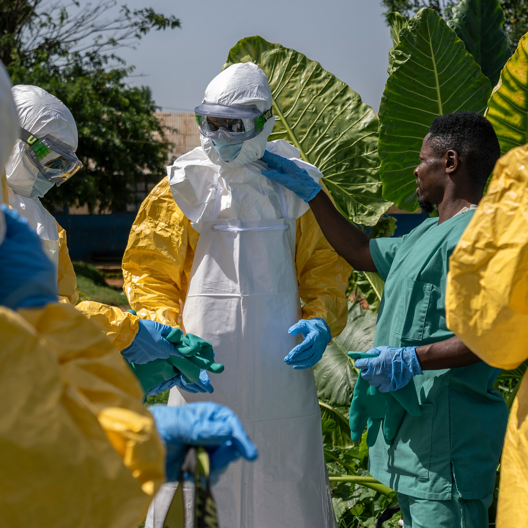 Epidemics and Rage