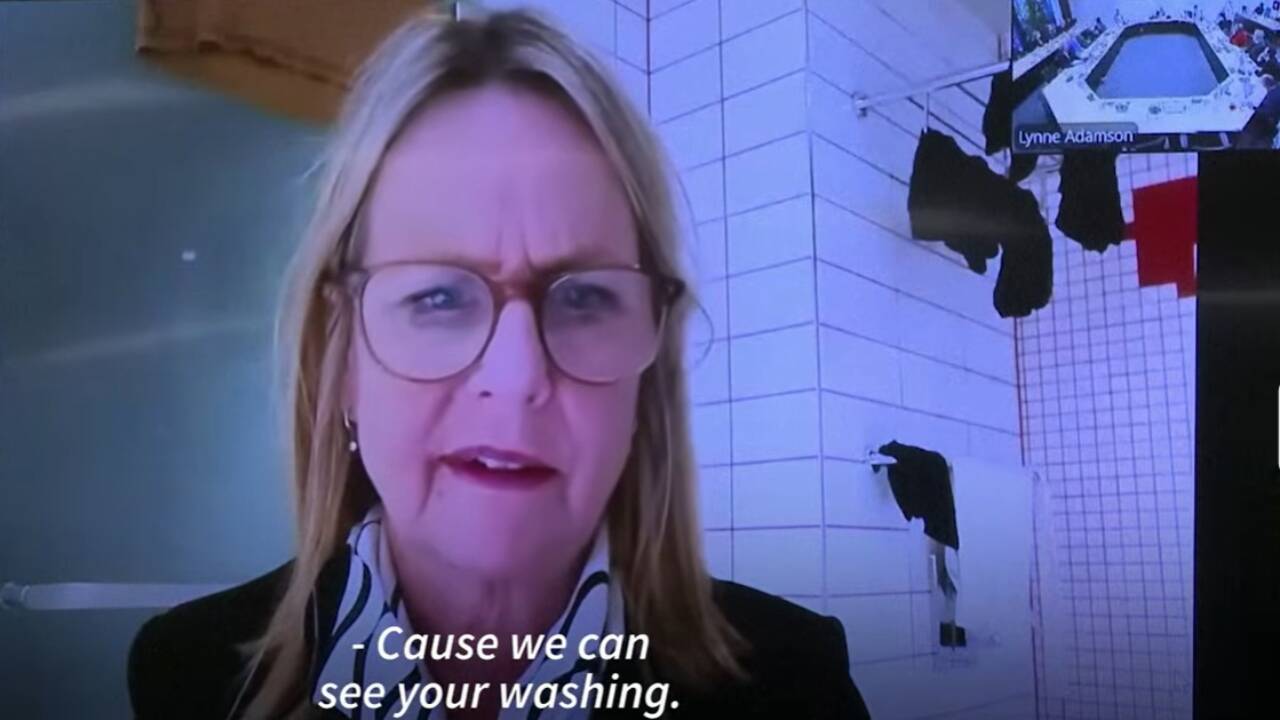 NZ councillor joins Zoom meeting from bathroom