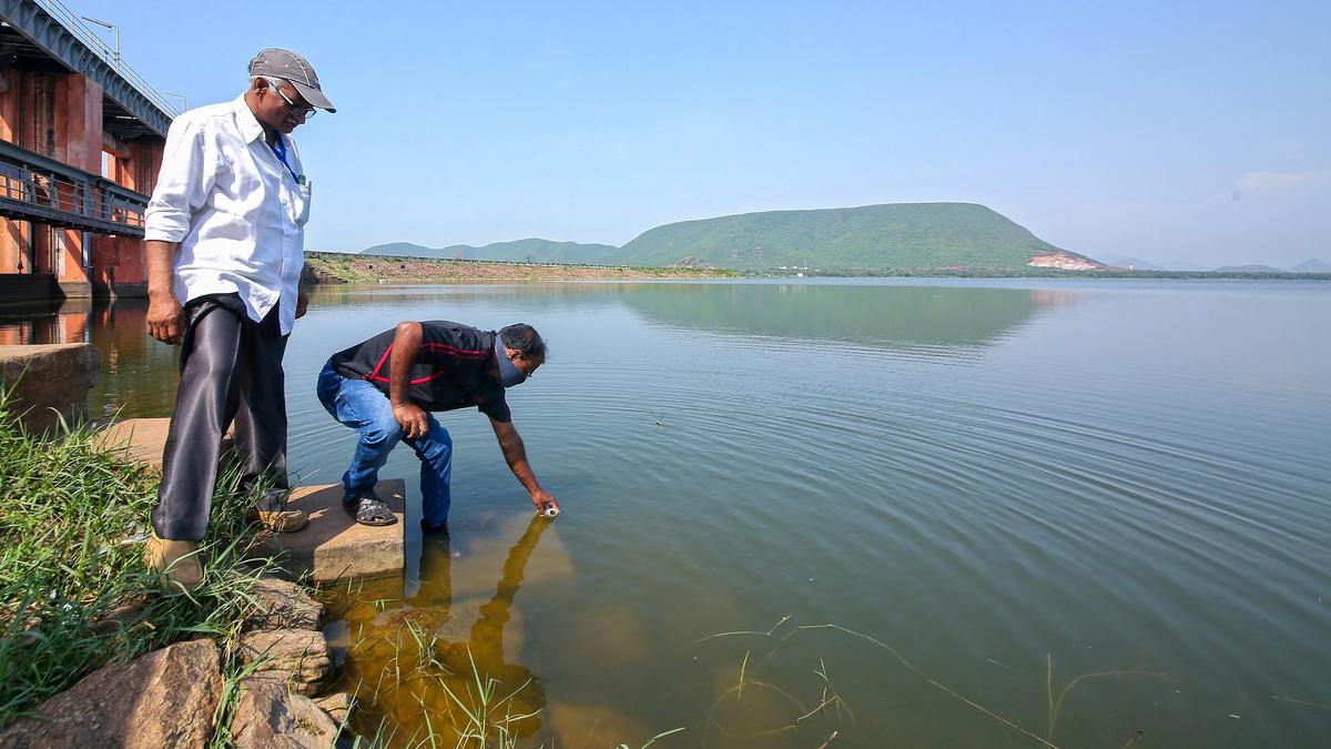 Wastewater data revealed hidden COVID surges in Bengaluru after testing declined