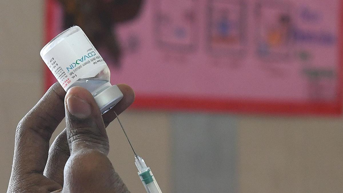 How an expecting mother’s booster shots can protect her newborn from a host of diseases